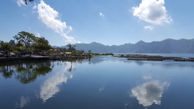 龙和蛇在一起对谁不利