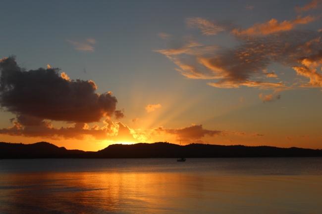 2006年狗女孩命好不好