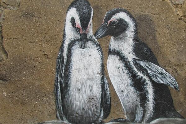 2006狗最难熬年龄