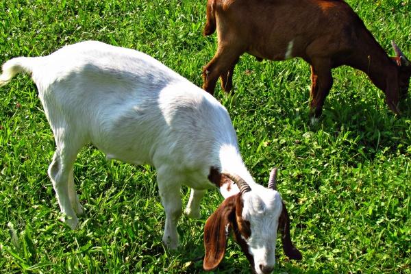 三种女人不宜戴朱砂