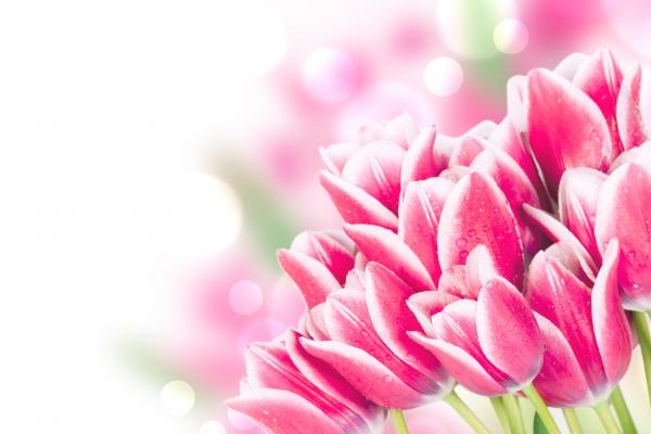 72年属鼠男人最佳妻子