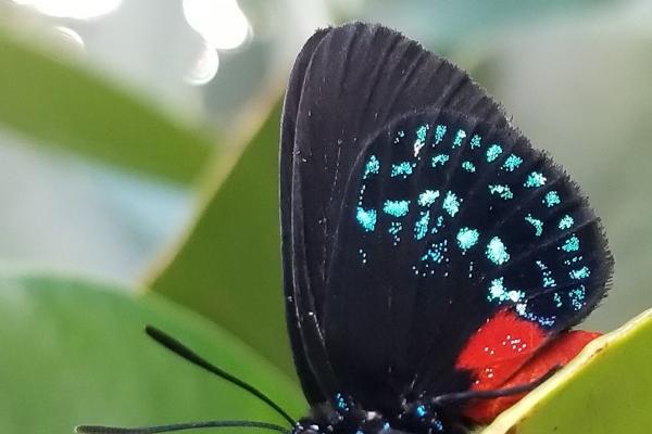 蛇女能管得了属龙男吗