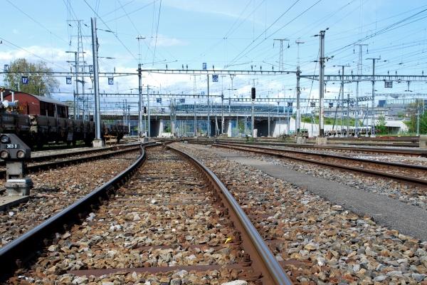 二月女兔是富贵还是穷