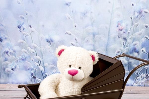 狗的最佳三个贵人属相