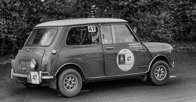 苦狗一般生在几月