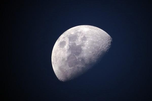 初六出生的狗是富贵命吗