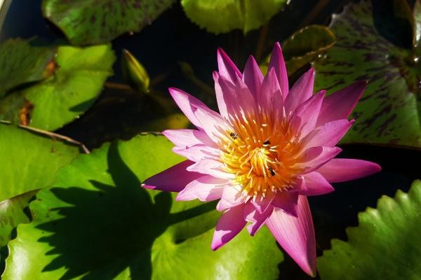 兔2026奇遇大喜事