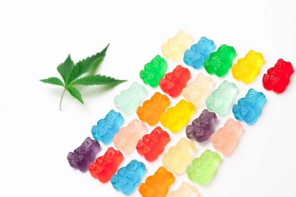 惹到属马女的下场怎么样