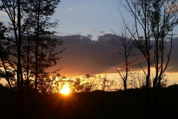 惹到属蛇女的下场怎么样