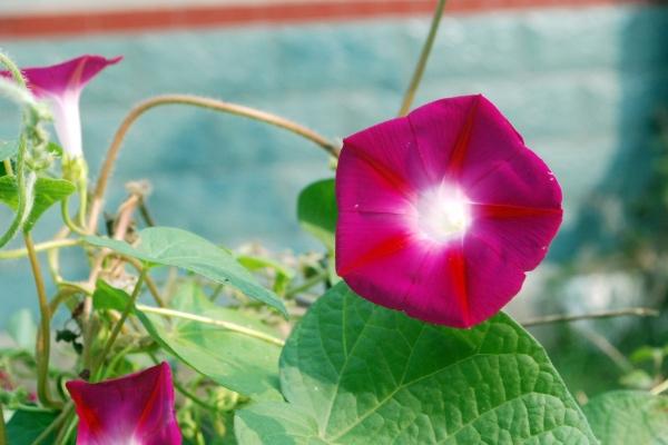 土马女最忌三种首饰