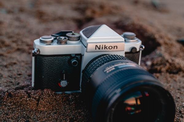 1998属虎的命运与婚姻