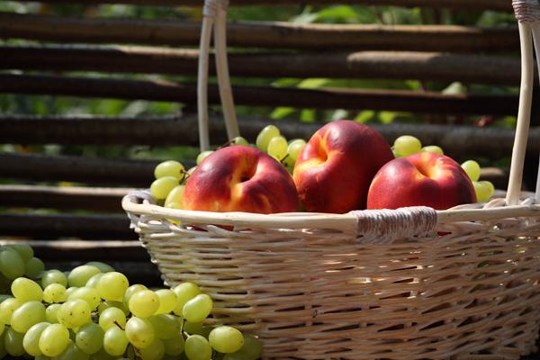 狗2026奇遇大喜事