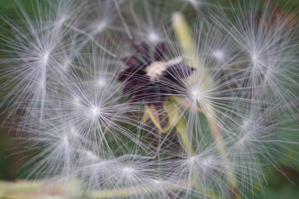 梦到去进货会有什么预兆