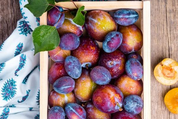 梦到谈婚事是咋回事