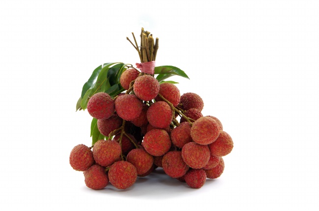 梦到白色猴子有什么预示吗