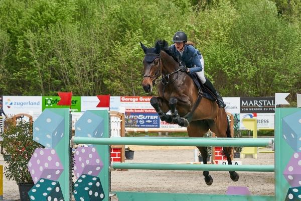 梦到采桑椹是好是坏