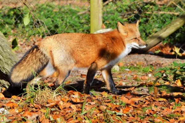 梦到了自己开卡车的预兆