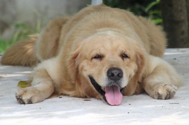 梦到我向别人要钱预示着什么