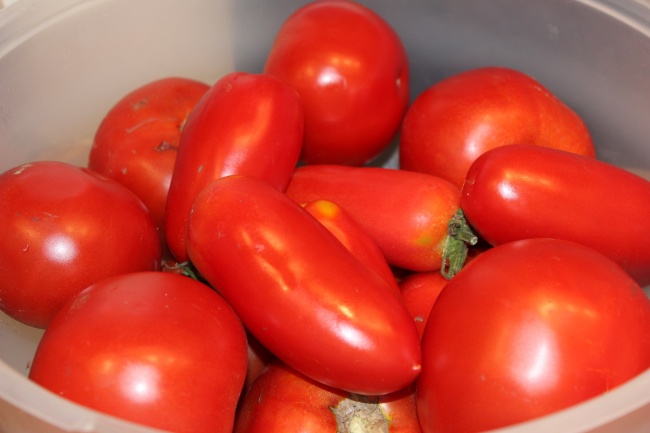 79属羊47岁会遇上真爱吗