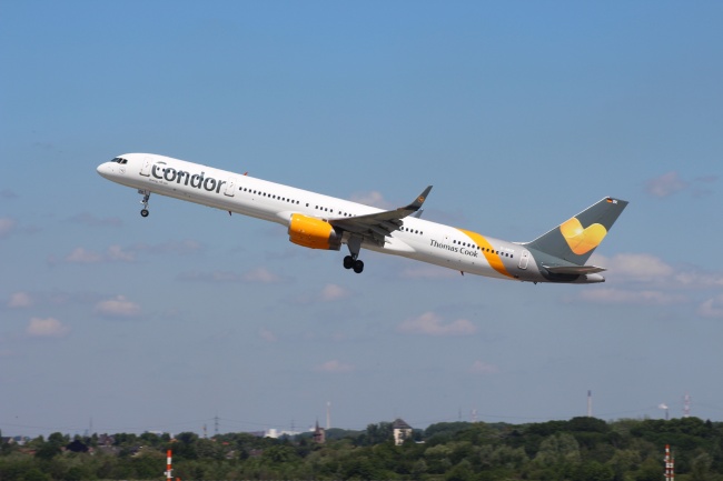 属猴2026年幸运色和忌色，属猴2026年的喜忌颜色