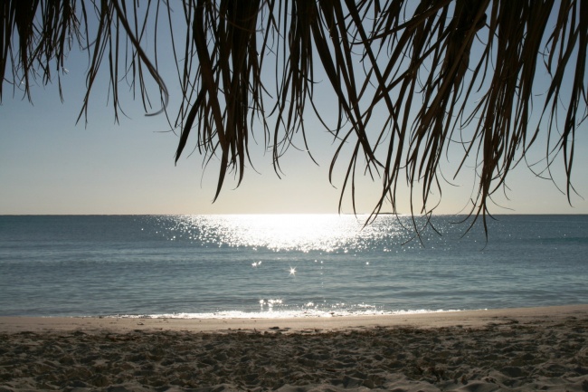 2026属虎人戴什么最旺