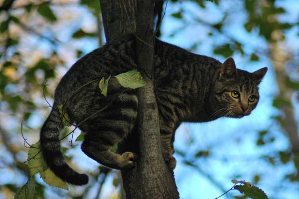 2026谁会陷害属兔人,2026生肖兔背后的小人是谁