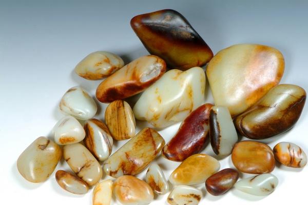 什么生肖看不起属羊的人