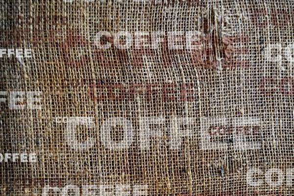 2025年属龙大忌的方向，属龙不能去什么方向