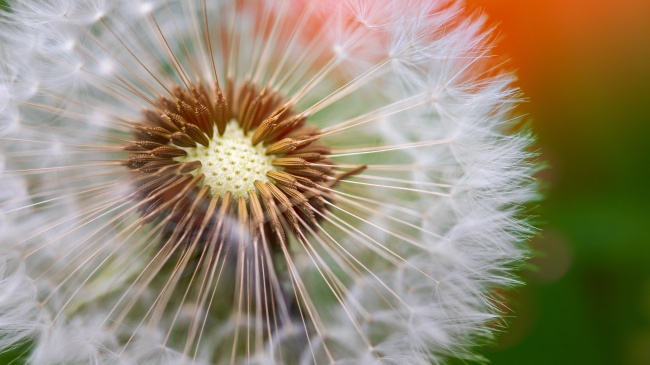 属狗人最旺的方位，属狗的永久发财方向