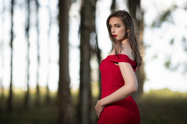 2025年属猪大忌的方向，属猪不能去什么方向