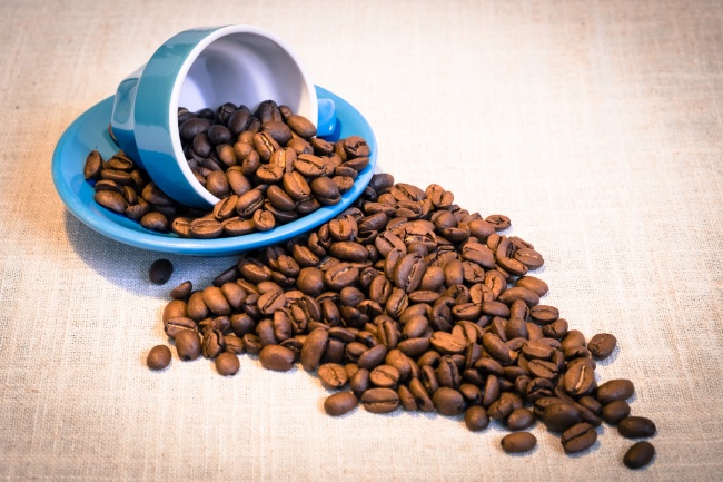 属狗女最终的丈夫是谁