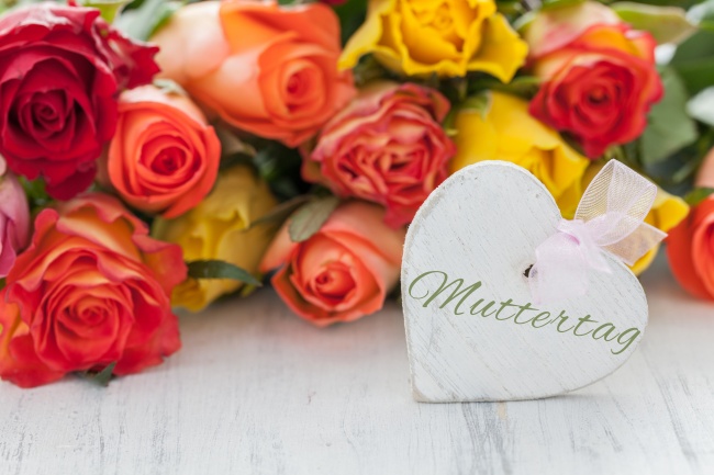 属蛇2026年幸运色和忌色，属蛇2026年的喜忌颜色