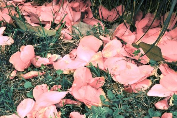 属马人2025年下半年运势，属马今年下半年运气如何