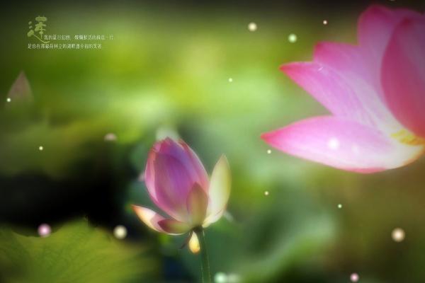 梦到了爬山掉下去意味着什么