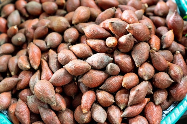 2026年属鸡大难已过吗