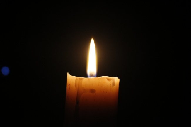 2026年属蛇大难已过吗