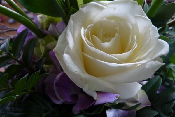 梦到小娃儿代表着什么？