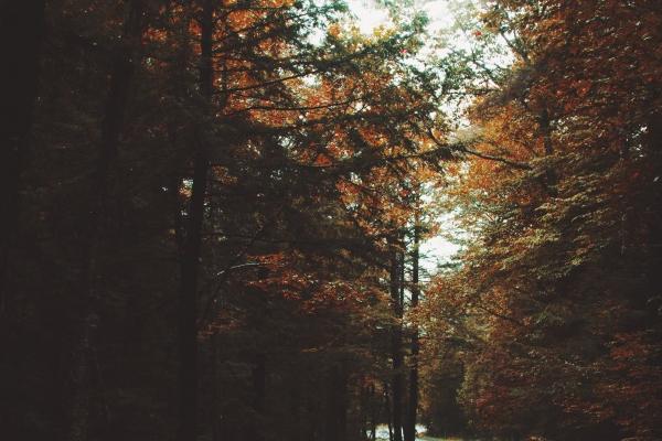 梦到了气流有什么说法