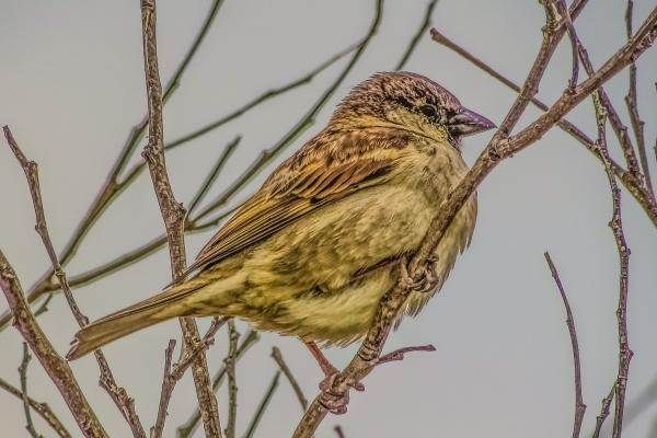 属兔人2026年逢考必过吗，属兔人2026年考试运如何