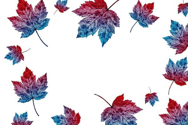 属牛人翻身之年是哪一年