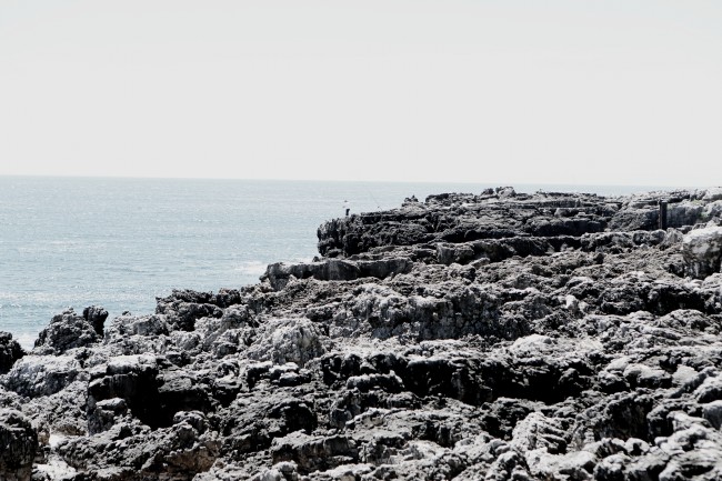 2026属虎要小心一个人