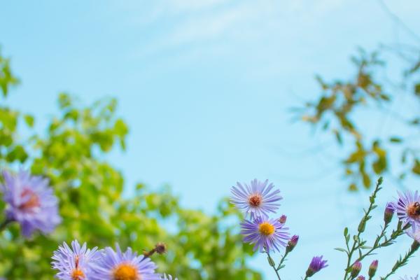 92年猴婚姻最终归宿