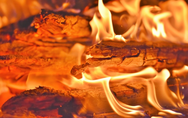 81年亥时出生的鸡一生运势