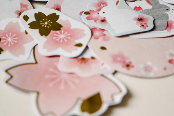 梦到坟上有树意味着什么