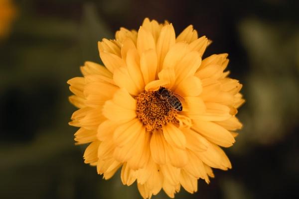 属兔身边坏人是谁