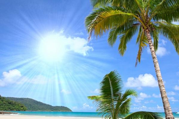 5两女命最忌几月出生