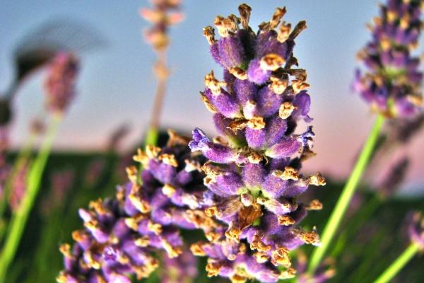 属兔人2025会添喜事吗