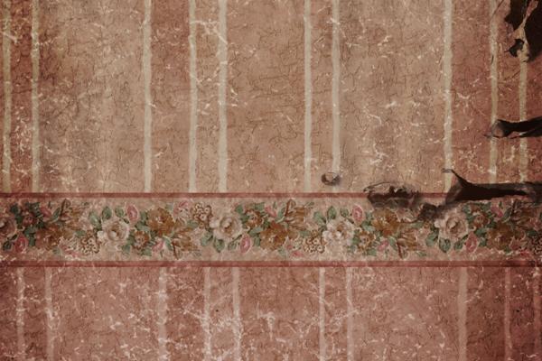 属兔的买房最佳楼层和方位