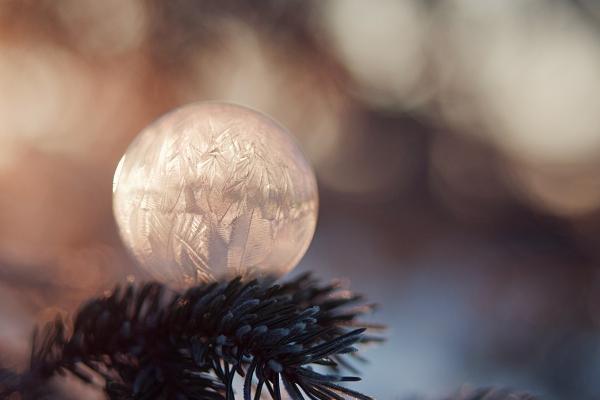 属兔人跟谁一起最有钱