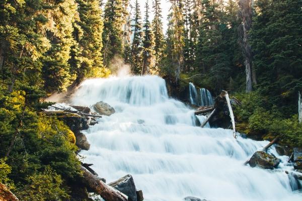 84属鼠男人最佳妻子